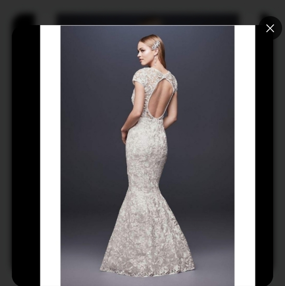 Elegant Lace Gown in Ivory - Picture 11 of 11